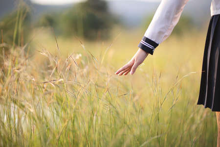 Asian High School Girls student hand touch grass in countryside with sunriseの写真素材