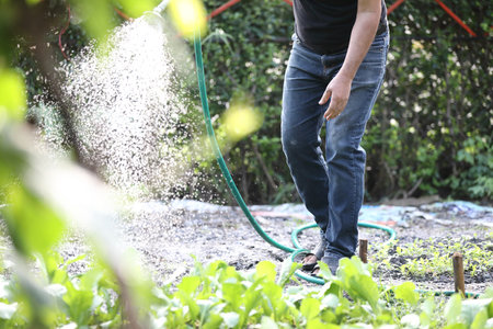 Male legs with watering plants in home garden