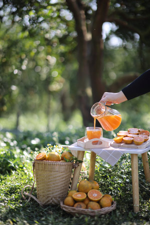 Orange juice on Orange Garden backgound in sunriseの写真素材