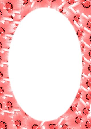 flowers frameの写真素材