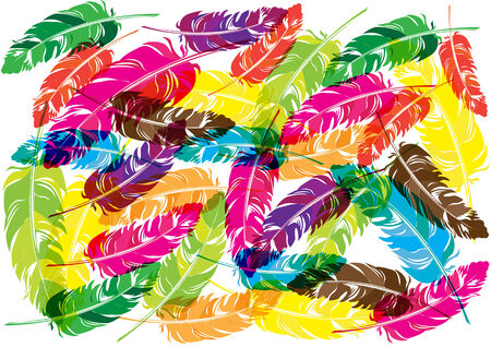 color vector birds feathers backgroundのイラスト素材