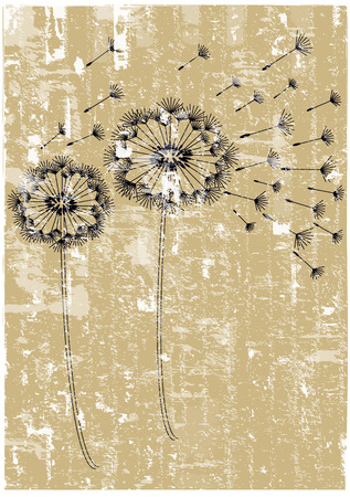 vector vintage dandelions on grunge backgroundのイラスト素材