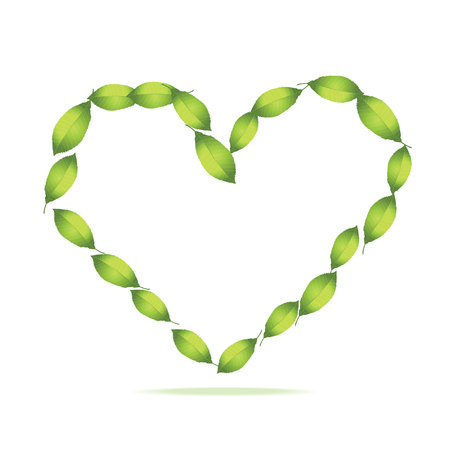 Green realistic leaves heart silhouette. Color vector heart frame of realistic green spring leafs isolated on white background. Spring leaves vector illustration.のイラスト素材