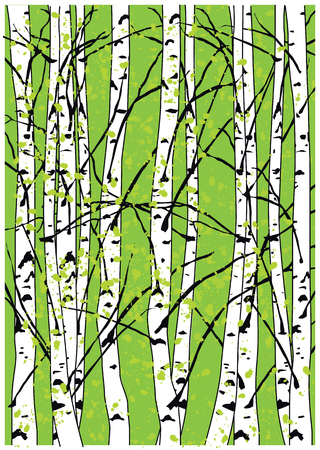 Simple illustration of birch trees.のイラスト素材