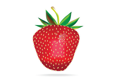 Color realistic illustration of fresh red strawberry isolated on white background.のイラスト素材