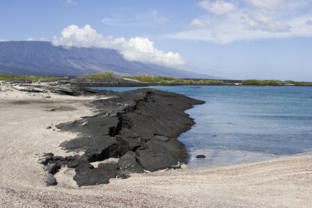 Frozen lava. Galapagos islandsの写真素材
