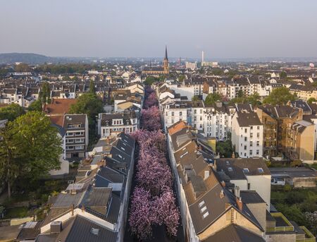 Foto de BONN, GERMANY - APRIL 21, 2018: Aerial view of Heerstrasse or Cherry Blossom Avenue - Imagen libre de derechos