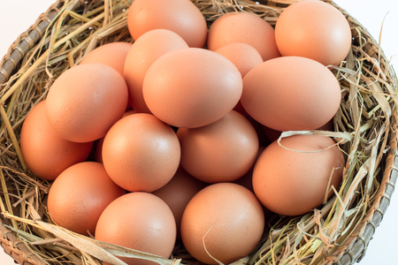 Brown Eggs の写真素材