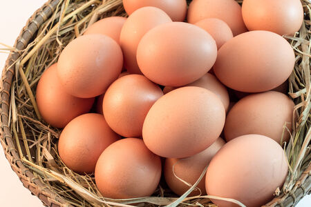 Brown Eggsの写真素材