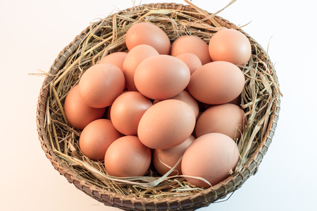 Brown Eggs on white backgroundの写真素材