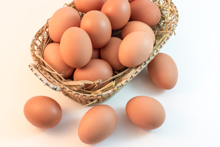 Brown Eggs on white backgroundの写真素材