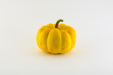 pumpkin over white backgroundの写真素材