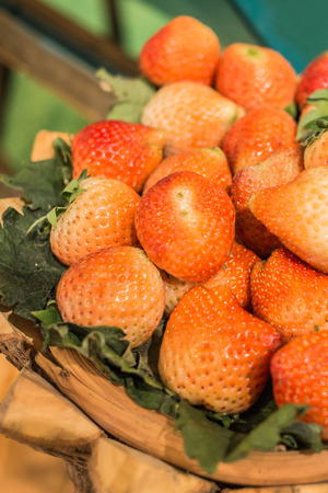 Strawberry on natural backgroundの写真素材