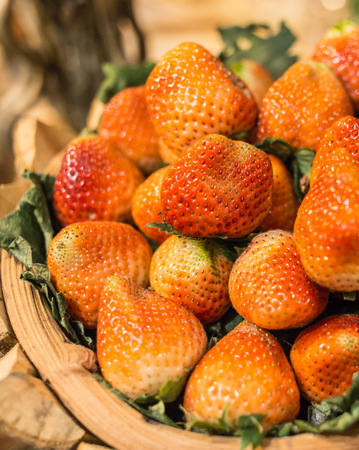 Strawberry on natural backgroundの写真素材