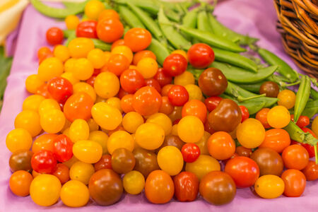 colorful tomatoes, natural backgroundの写真素材