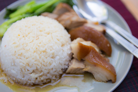 stewed pork leg with rice and kaleの写真素材