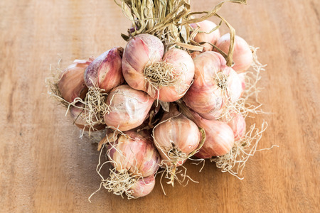 Shallot onions in a group on  wood tableの写真素材