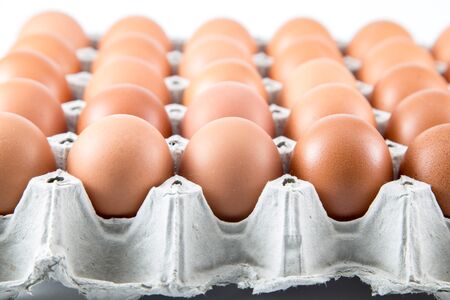 Egg in the packageの写真素材