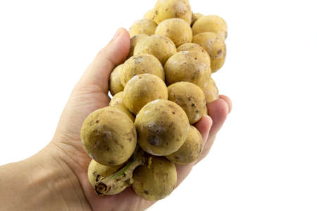 Wollongong on hand  white backgroundの写真素材