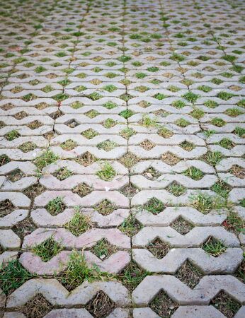 Texture pattern of concrete paved ground  inserted with green grassの写真素材
