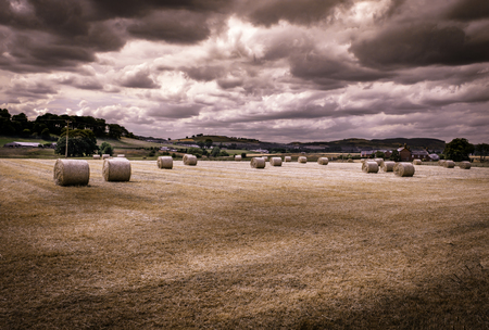 View of farmland summer harvest in Dumfries Galloway area Scotland UKの写真素材