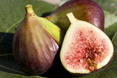 Close up of some figs -  one of them slicedの写真素材