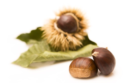Chestnuts and an open husk isolated on white - Focus on the chestnutsの写真素材