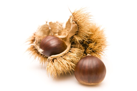 Chestnuts and an open husk isolated on whiteの写真素材