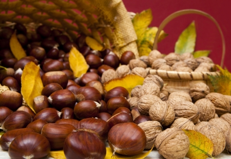 Autumn fruit composition with chestnuts and walnuts の写真素材