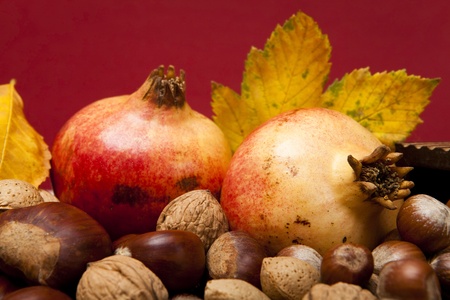 Autumn fruit composition with chestnuts, walnuts hazelnuts, almonds and pomegranatesの写真素材