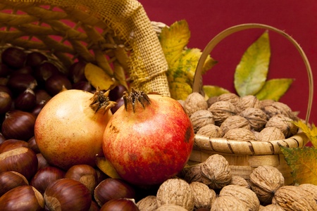 Autumn fruit composition with chestnuts, walnuts and pomegranatesの写真素材