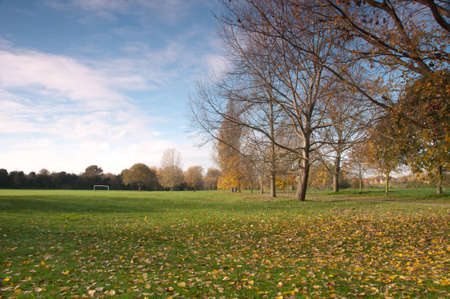 Autum Parkの写真素材