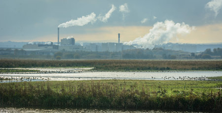 A view of Liverpool UK across the bird sanctuary on a misty dayの写真素材