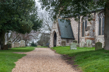 The tree lined stone pathway leading to door of a Norfolk churchの写真素材