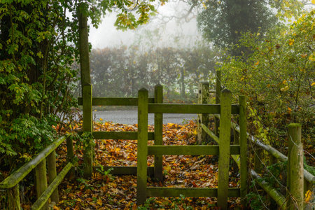Walking though the countryside on a misty morning, by the riverside in Boreham, Essex, Englandの写真素材