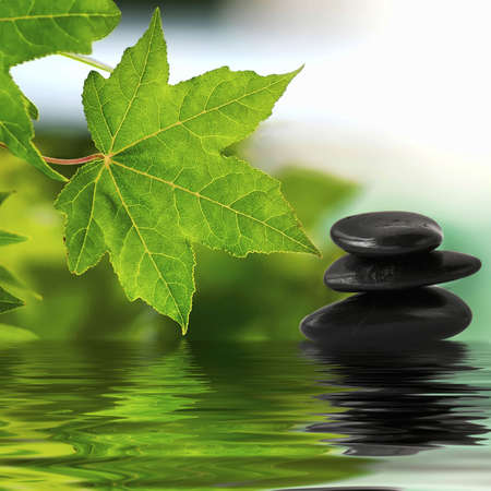 Zen stones on water surface with green leavesの写真素材