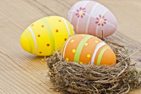 Beautiful eggs in the nest in wood background