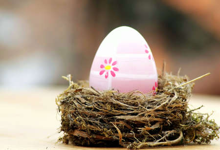 Beautiful eggs in the nest in wood background