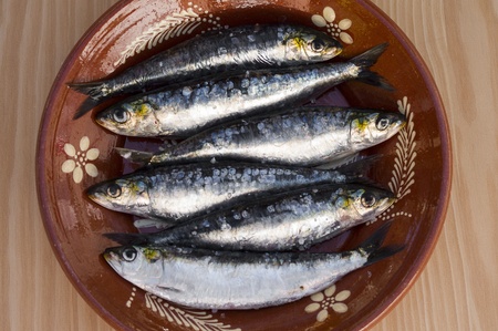 Fresh sardines in a great plate with amazing lightの写真素材