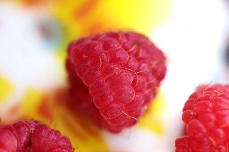 Beautiful raspberry with amazing colors and good lightの写真素材