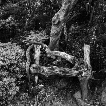 Wood bench and wood texture in Phra Nakorn Khiri, Petchaburiの写真素材