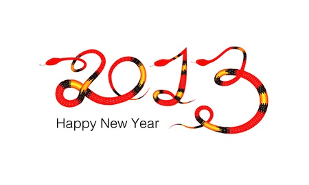 happy new year 2013, the year of snake on white backgroundの写真素材