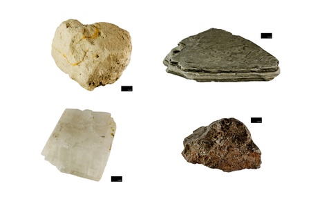 Rock, Mineral, Fossil isolated on white background with scale barの写真素材