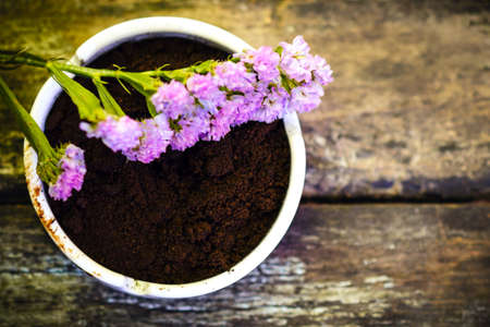 Beautiful flower and coffee ground on vintage wooden background, selective focusの写真素材
