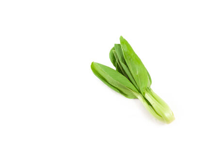Bok choy  chinese cabbage  isolated on whiteの写真素材