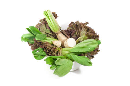 vegetables isolated on a white background