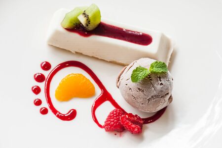 Scoops of ice cream and yogurt