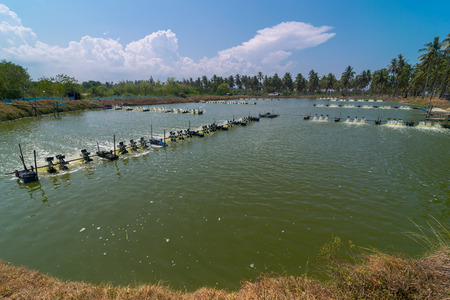 Aerator turbine wheel oxygen fill ins Into lake water. Shrimp farm, Thailand