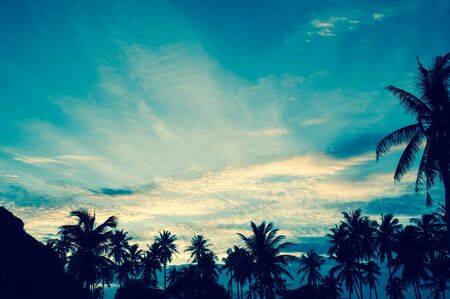sunset scene with coconut tree background - vintage filterの写真素材