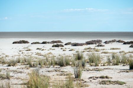 View of the Etosha pan from the Etosha lookoutの写真素材